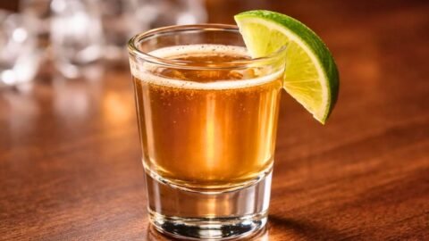 Water Moccasin Shot Recipe