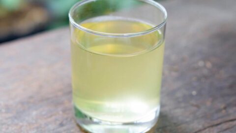 Water Moccasin Shot Recipe