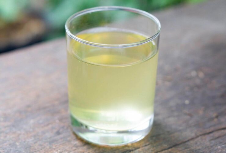 Water Moccasin Shot Recipe