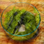 Crock Pot Cannabutter Recipe