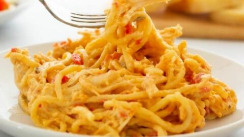 Chicken Rotel Casserole Recipe