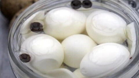 Pickled Quail Eggs Recipe