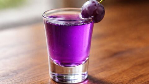 Purple Gatorade Shot Recipe
