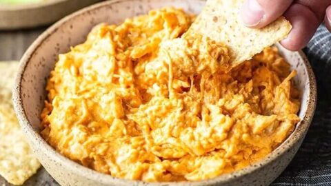 Publix Buffalo Chicken Dip Recipe