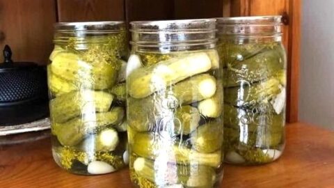 Ted's Montana Grill Pickles Recipe