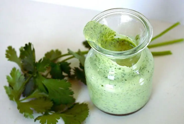 El Pollo Loco Creamy Cilantro Dressing Recipe