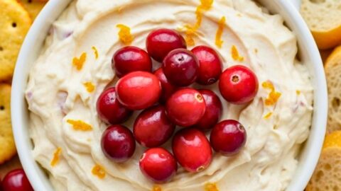 Cranberry Cream Cheese Dip Recipe