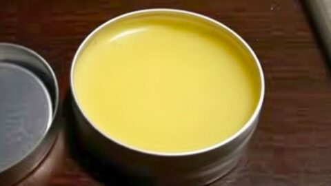 Homemade DIY Lip Balm Chapstick Recipes with Mango Butter