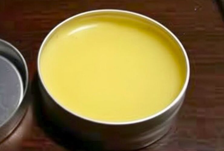 Homemade DIY Lip Balm Chapstick Recipes with Mango Butter