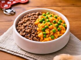 Beef and Sweet Potato Farmer's Dog Food Recipe