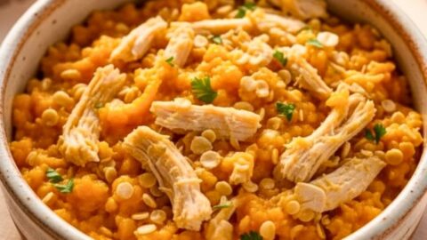 Chicken Pumpkin and Oats Farmer’s Dog Food Recipe