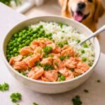 Farmer’s Salmon and Rice Dog Food Recipe