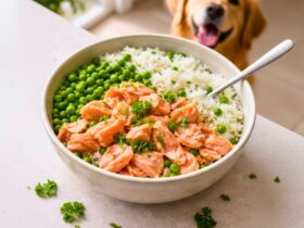 Farmer’s Salmon and Rice Dog Food Recipe