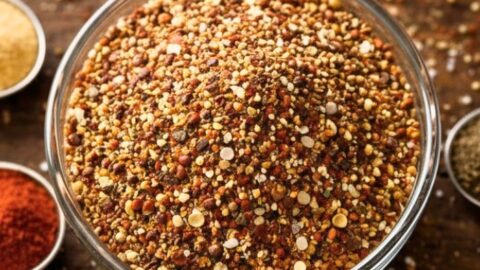 Hamburger Seasoning Recipe