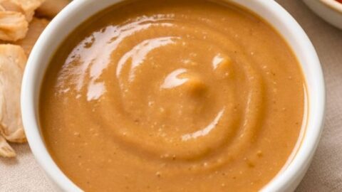 Homemade Dog Gravy Recipe