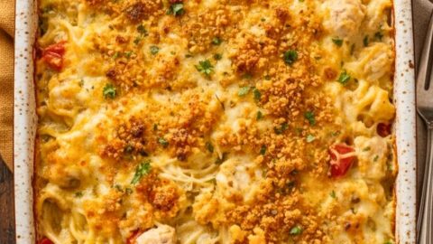 Pioneer Woman Chicken Spaghetti Recipe