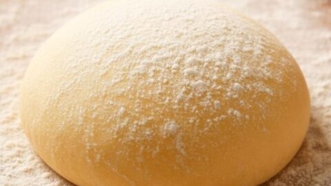 Thomas Keller Pasta Dough Recipe