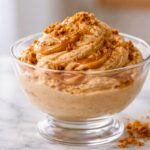 Ninja Creami Biscoff Cookie Butter Protein Ice Cream Recipe