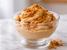 Ninja Creami Biscoff Cookie Butter Protein Ice Cream Recipe