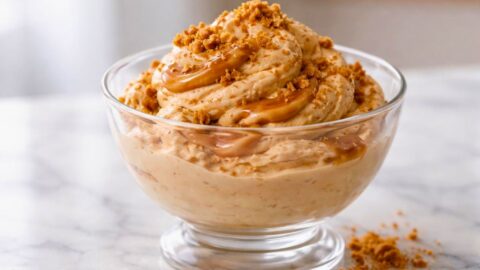 Ninja Creami Biscoff Cookie Butter Protein Ice Cream Recipe