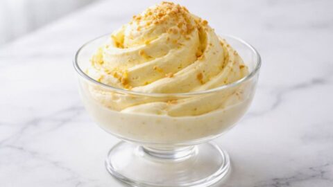 Ninja Creami Lemon Cheesecake Protein Ice Cream Recipe