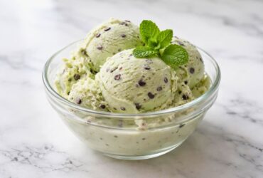 Ninja Creami Mint Chocolate Chip Protein Ice Cream Recipe
