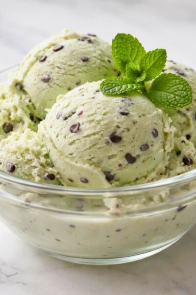 Ninja Creami Mint Chocolate Chip Protein Ice Cream Recipe