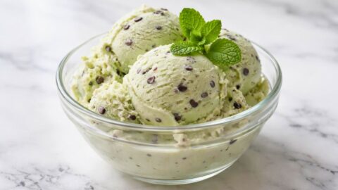 Ninja Creami Mint Chocolate Chip Protein Ice Cream Recipe