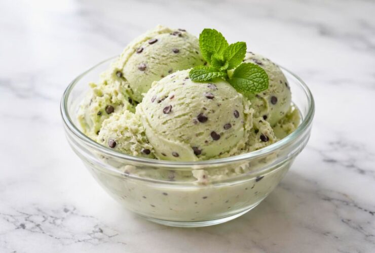 Ninja Creami Mint Chocolate Chip Protein Ice Cream Recipe