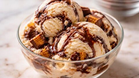 Homemade Moose Tracks Ice Cream Recipe