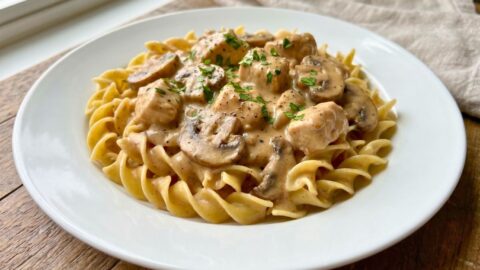 Pioneer Woman Chicken Stroganoff Recipe